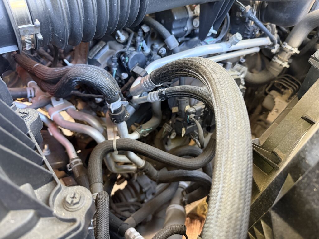 How to Keep Rodents Out of Your Vehicle: Insights from Pasadena Pest Control