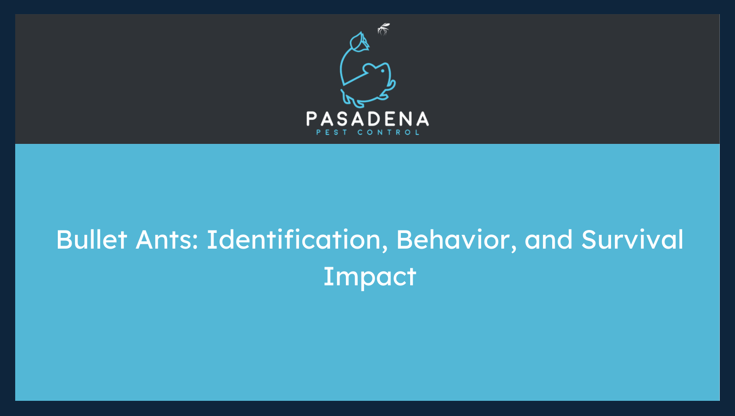 Bullet Ants