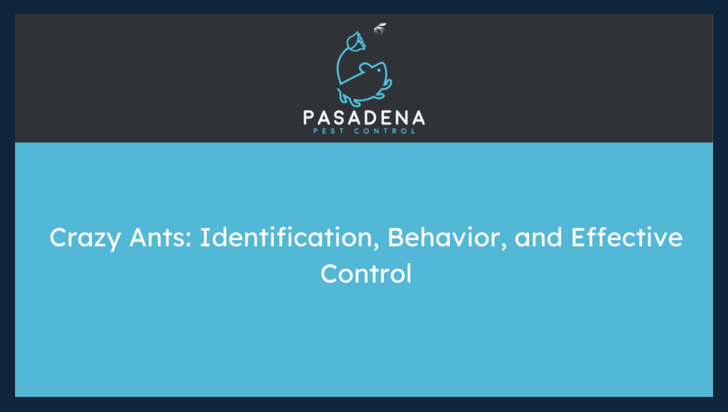 Crazy Ants
