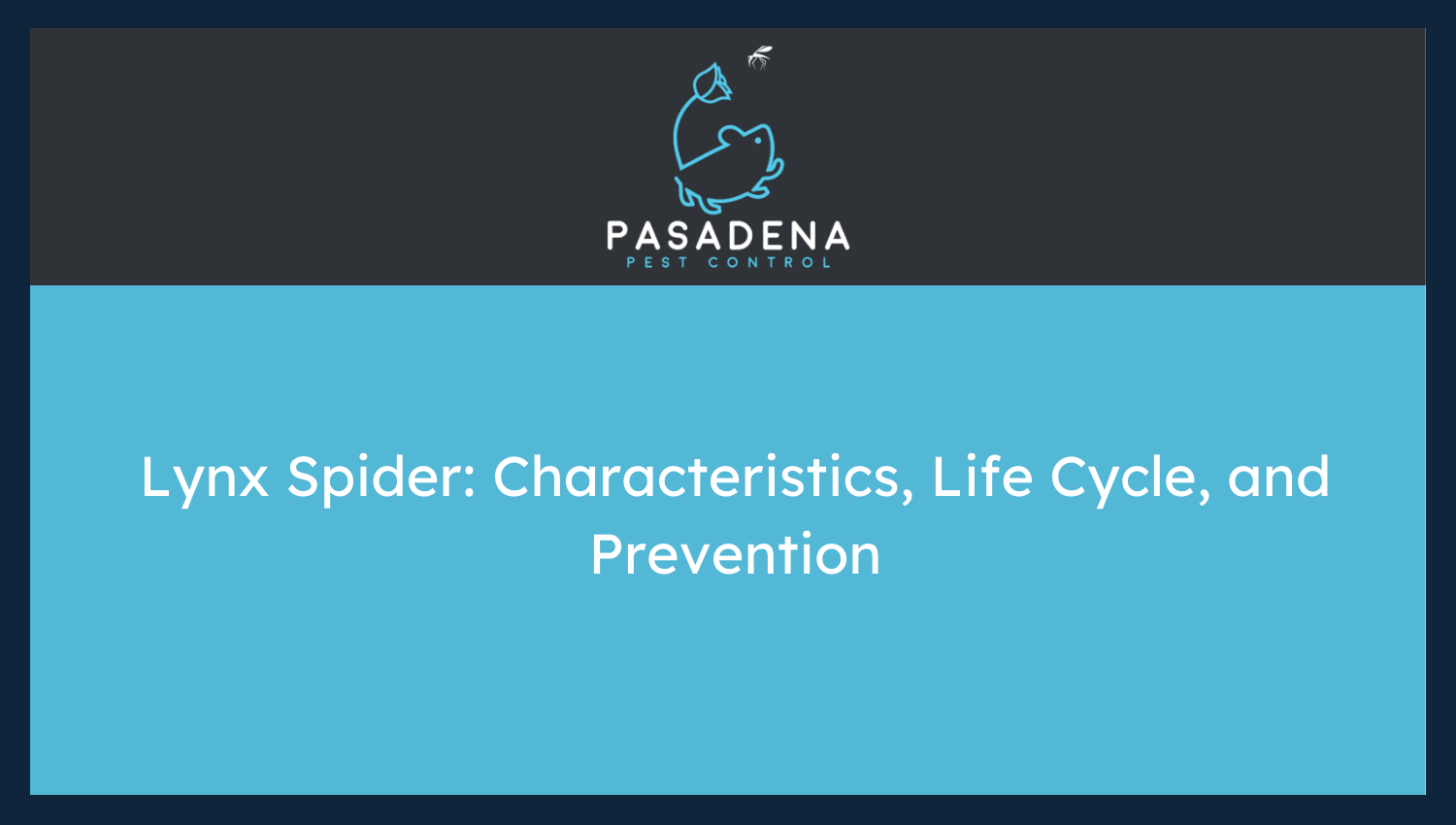 Lynx Spider