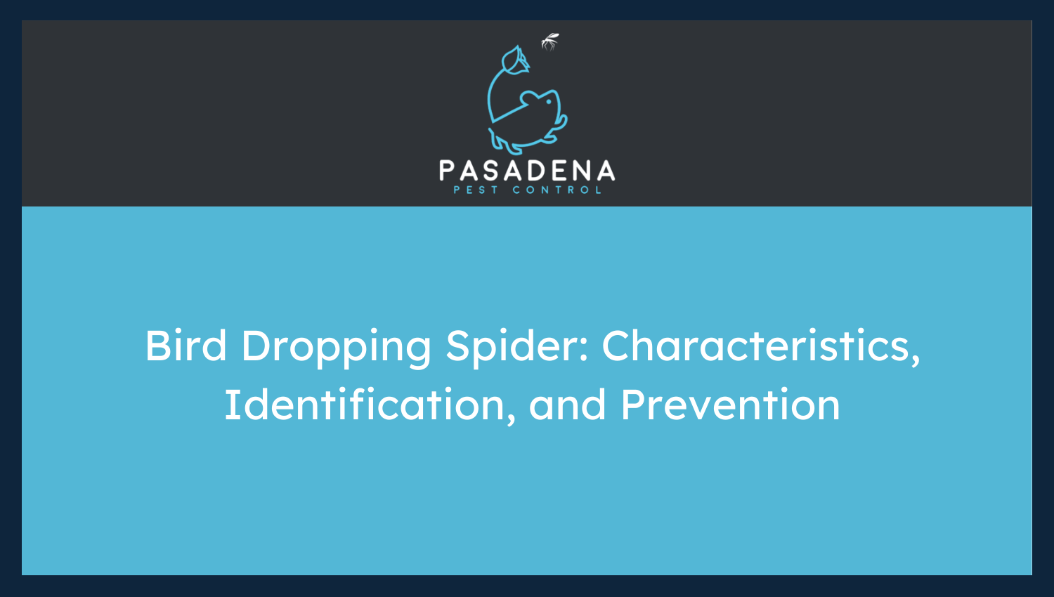 Bird Dropping Spider