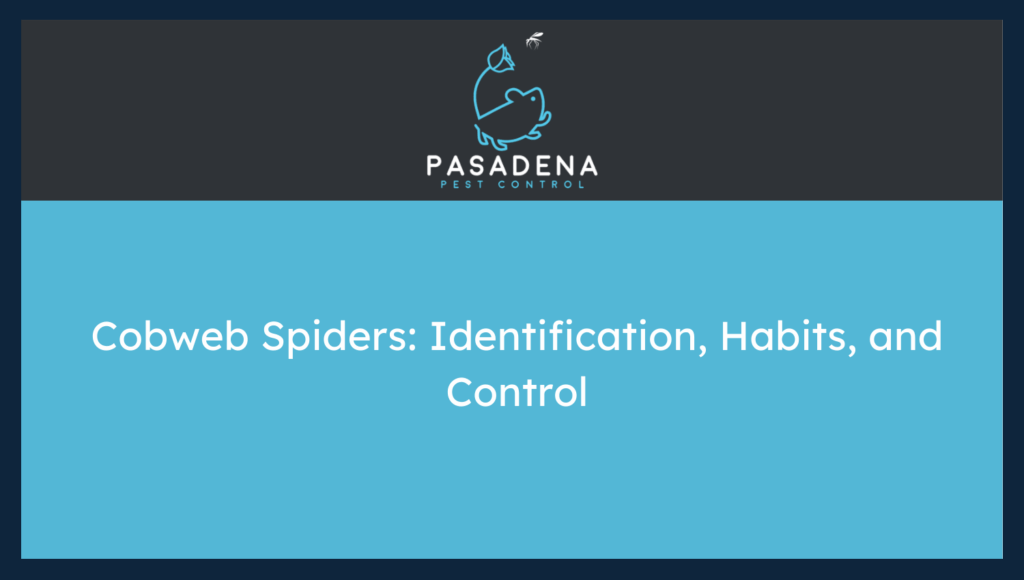 Cobweb Spiders: Identification, Habits, and Control