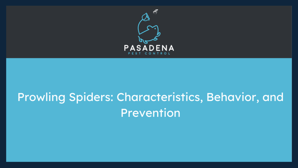 Prowling Spiders