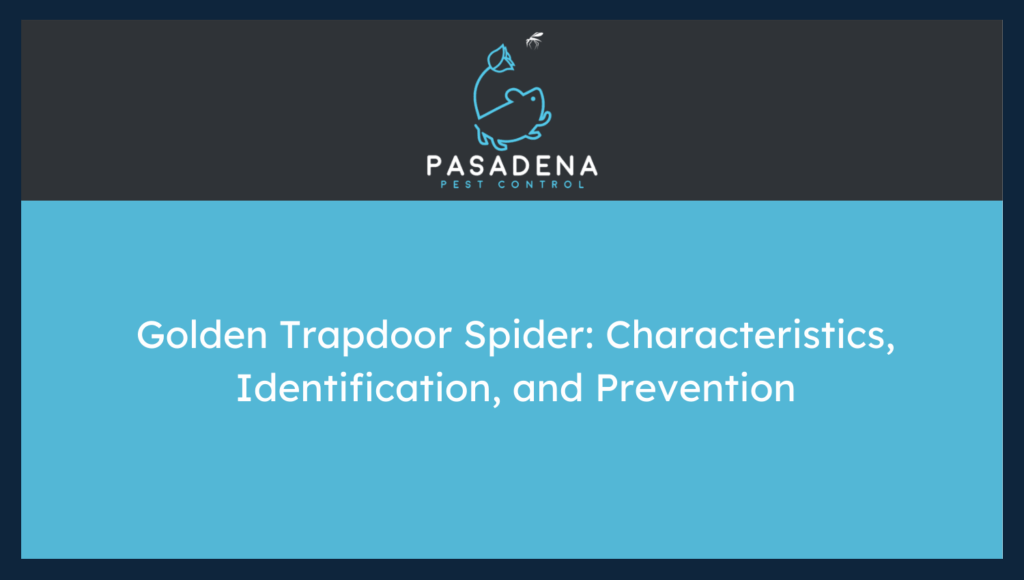 Golden Trapdoor Spider: Characteristics, Identification, and Prevention