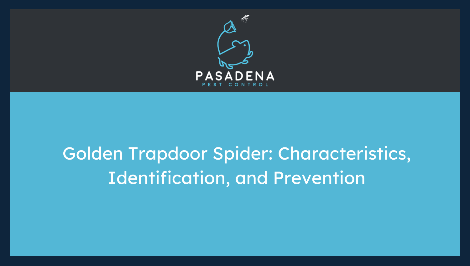 Golden Trapdoor Spider: Characteristics, Identification, and Prevention