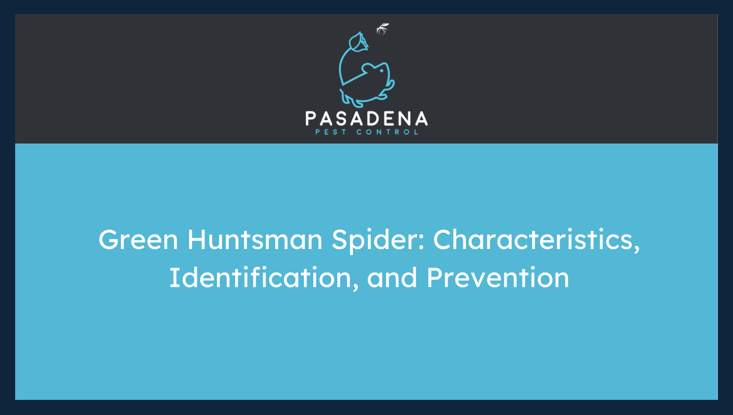 Green Huntsman Spider: Characteristics, Identification, and Prevention