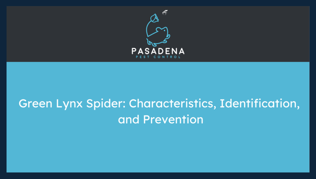 Green Lynx Spider: Characteristics, Identification, and Prevention