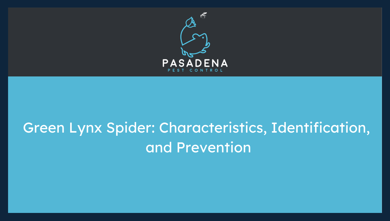 Green Lynx Spider: Characteristics, Identification, and Prevention