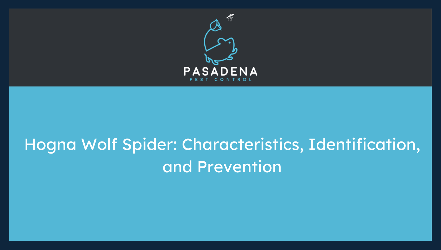 Hogna Wolf Spider: Characteristics, Identification, and Prevention