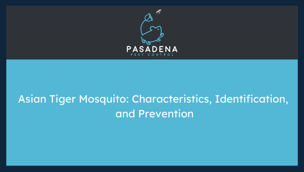 Asian Tiger Mosquito: Characteristics, Identification, and Prevention