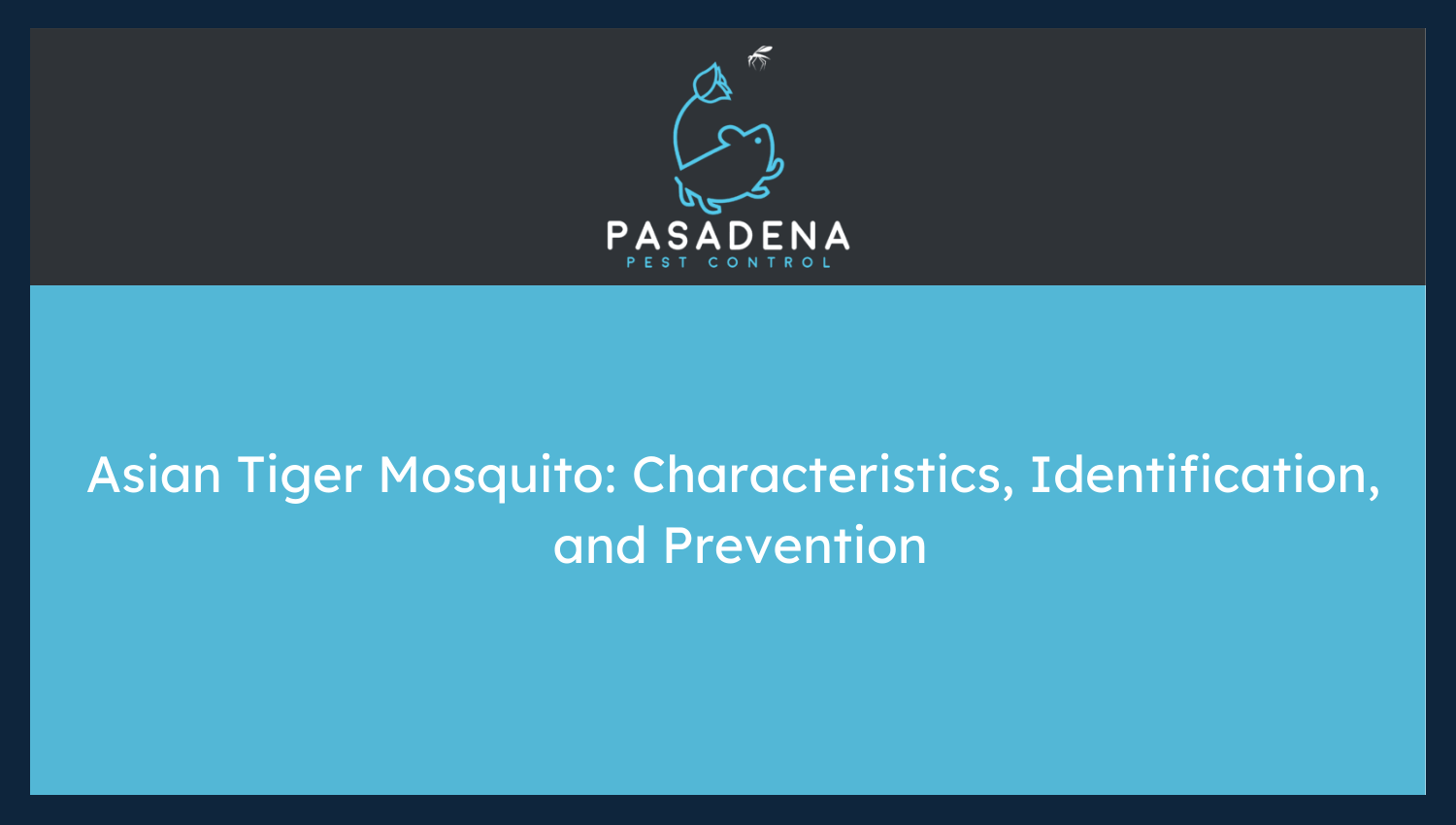 Asian Tiger Mosquito: Characteristics, Identification, and Prevention