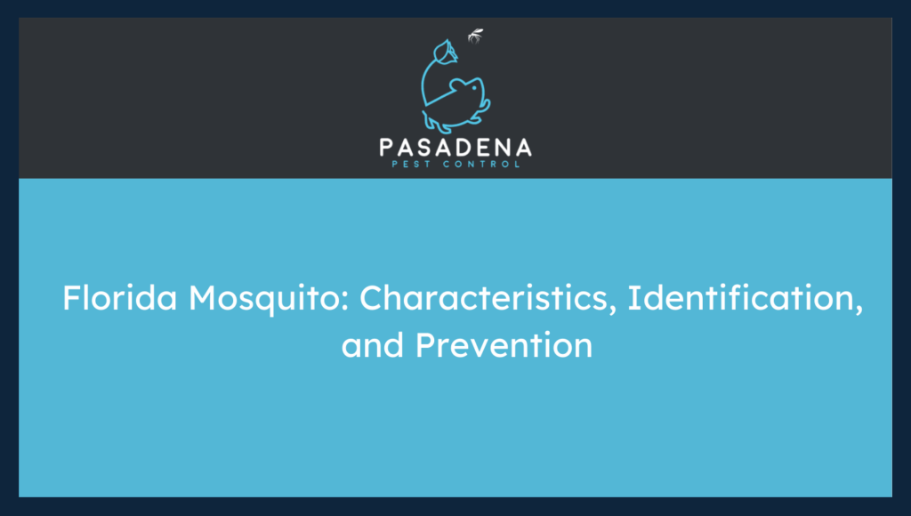 Florida Mosquito: Characteristics, Identification, and Prevention