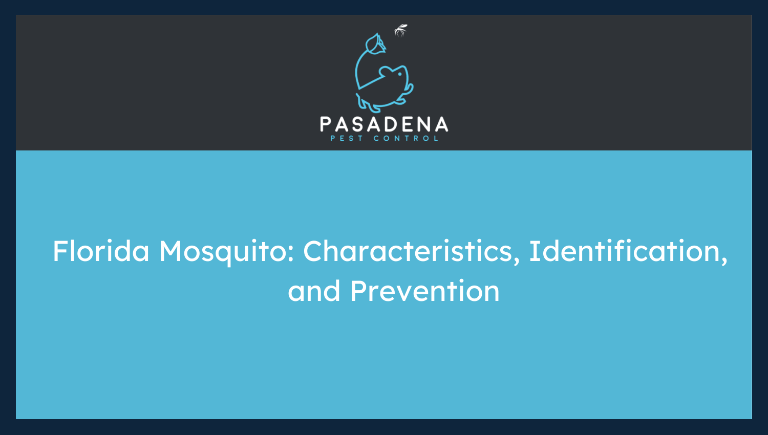 Florida Mosquito: Characteristics, Identification, and Prevention