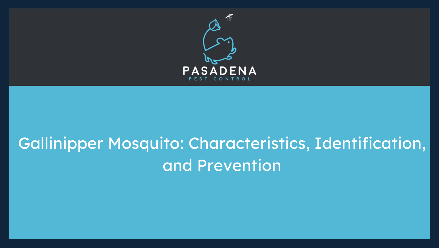 Gallinipper Mosquito: Characteristics, Identification, and Prevention