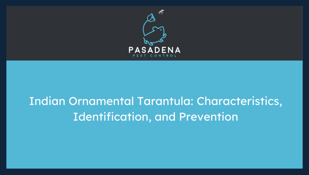 Indian Ornamental Tarantula: Characteristics, Identification, and Prevention