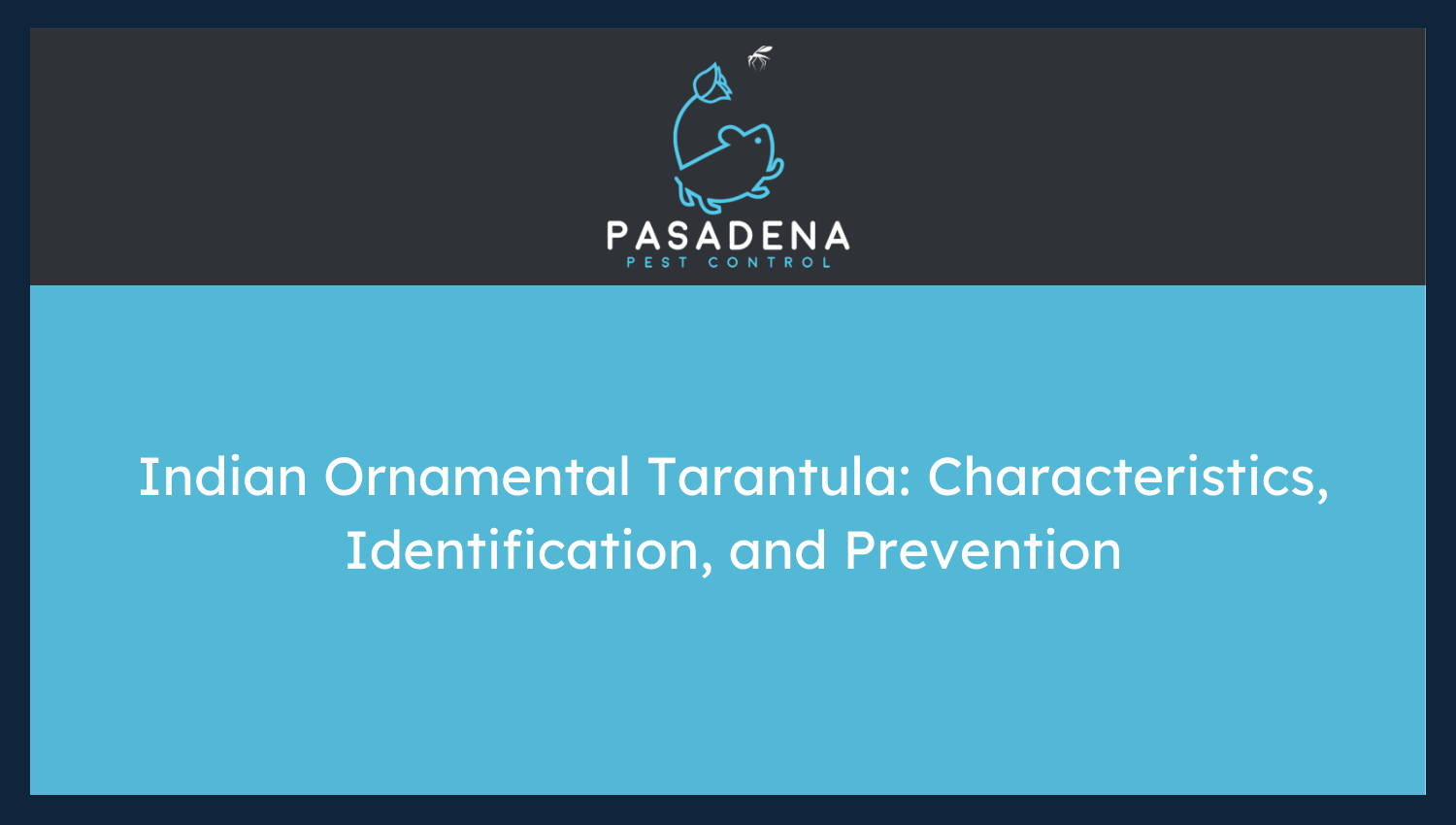 Indian Ornamental Tarantula: Characteristics, Identification, and Prevention