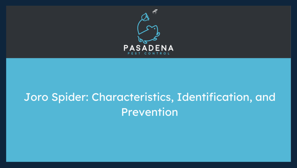 Joro Spider: Characteristics, Identification, and Prevention