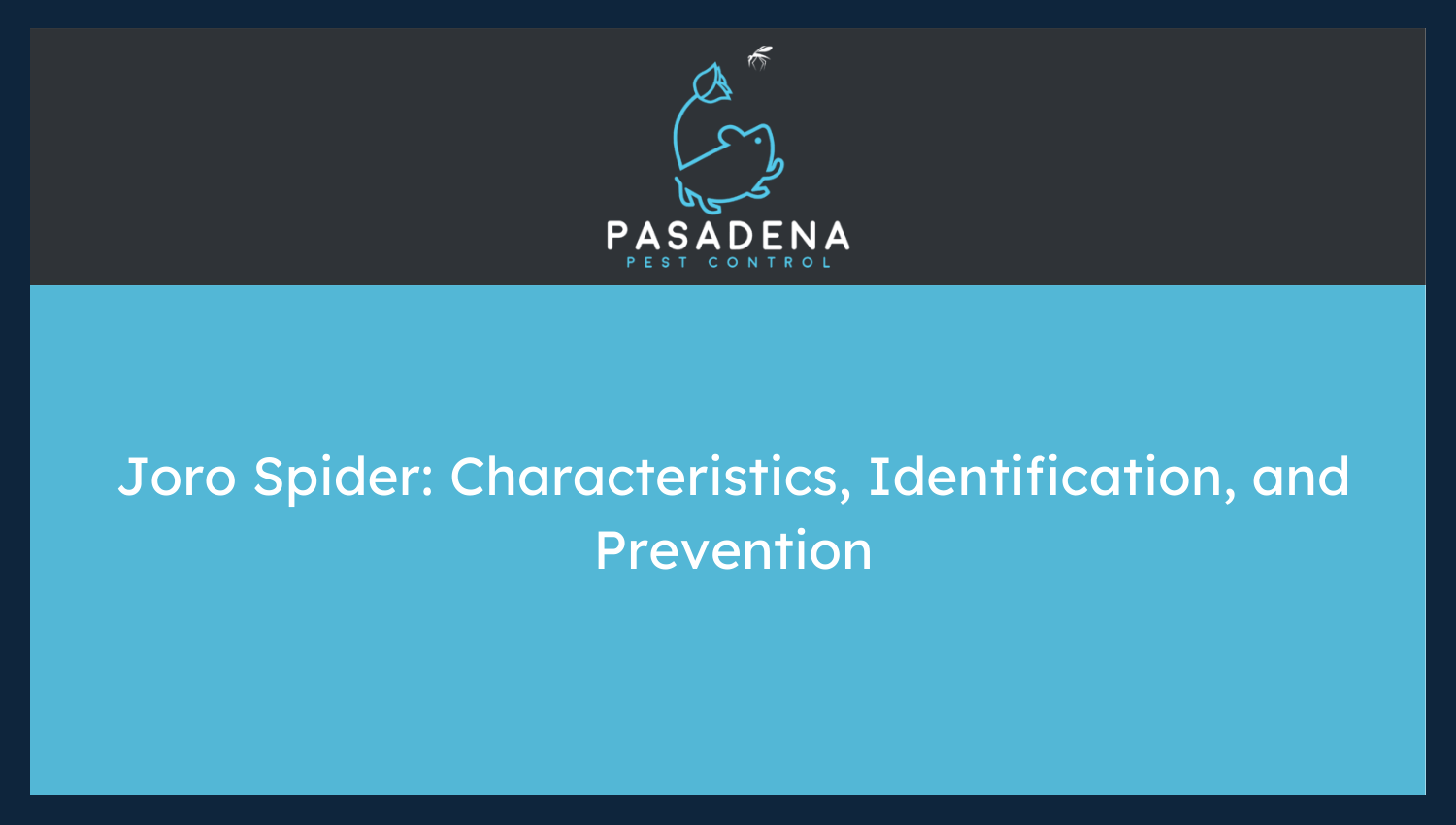 Joro Spider: Characteristics, Identification, and Prevention