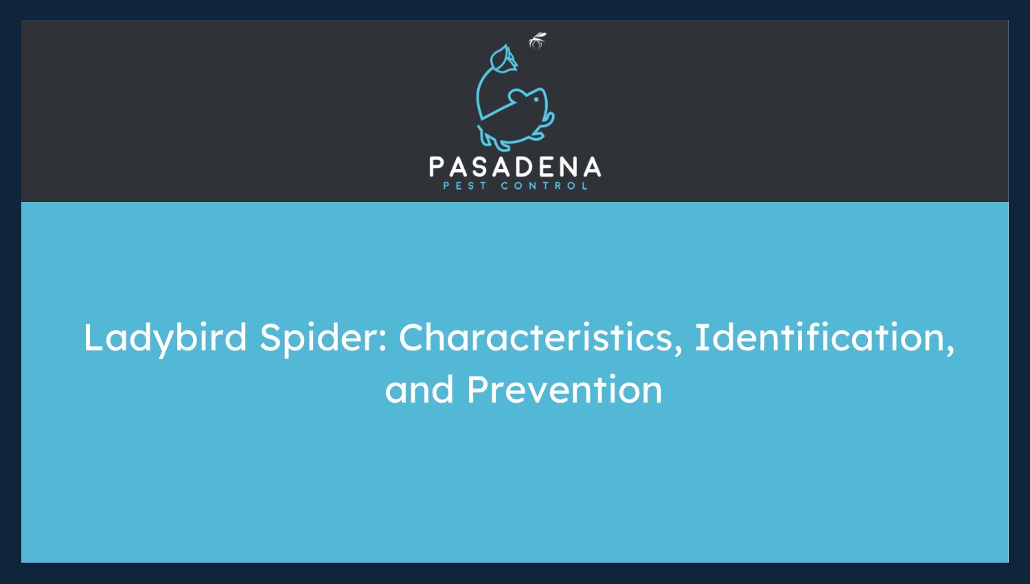 Ladybird Spider: Characteristics, Identification, and Prevention