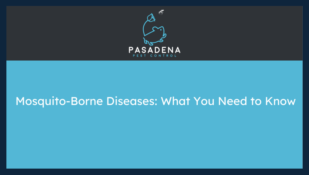 Mosquito-Borne Diseases: What You Need to Know