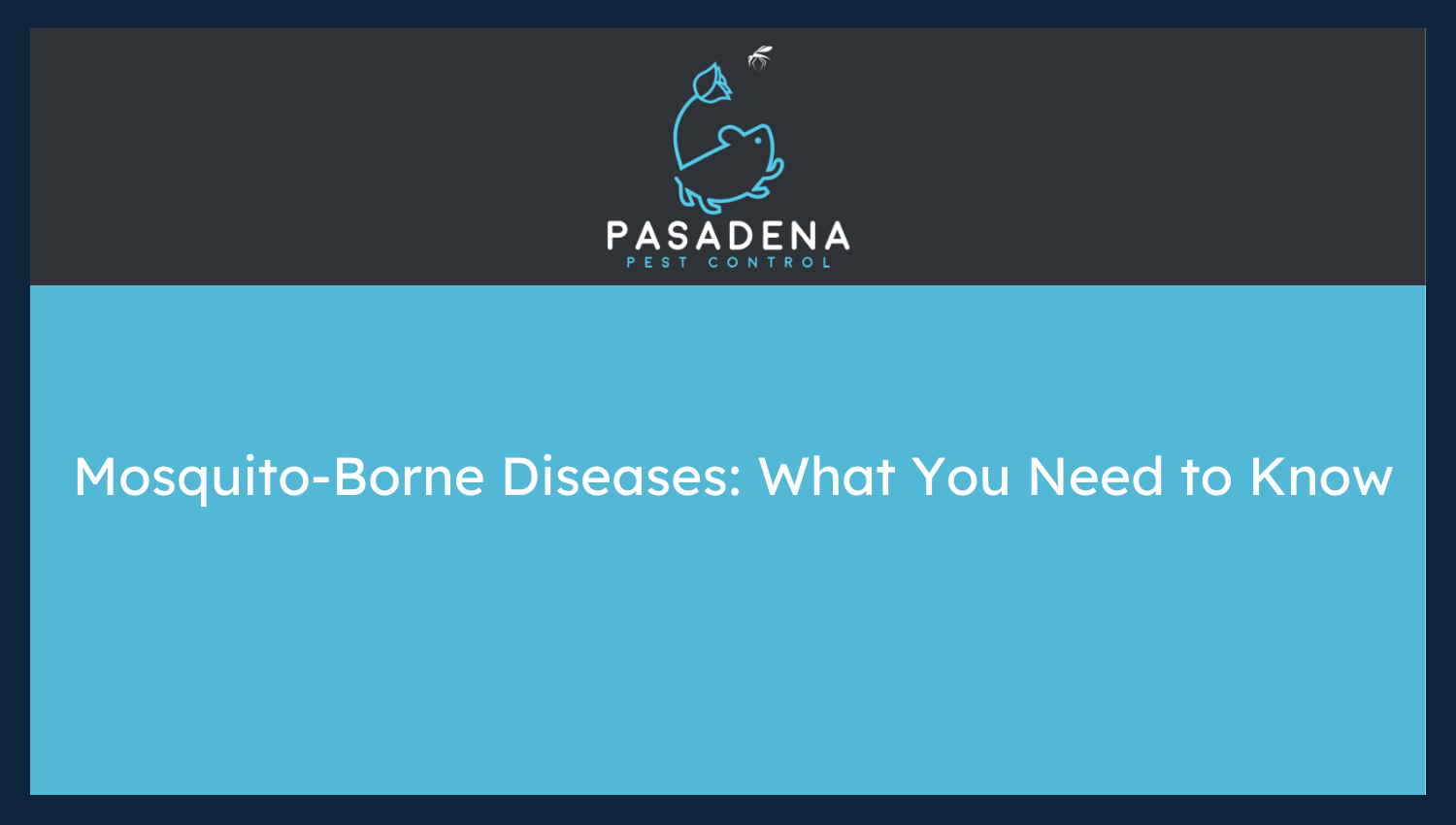 Mosquito-Borne Diseases: What You Need to Know