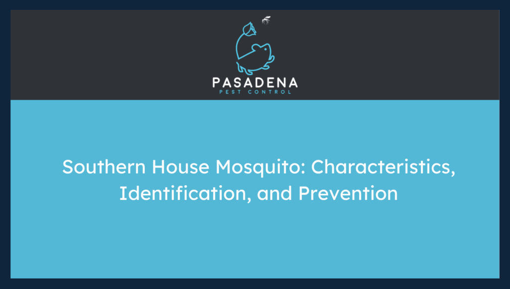 Southern House Mosquito: Characteristics, Identification, and Prevention