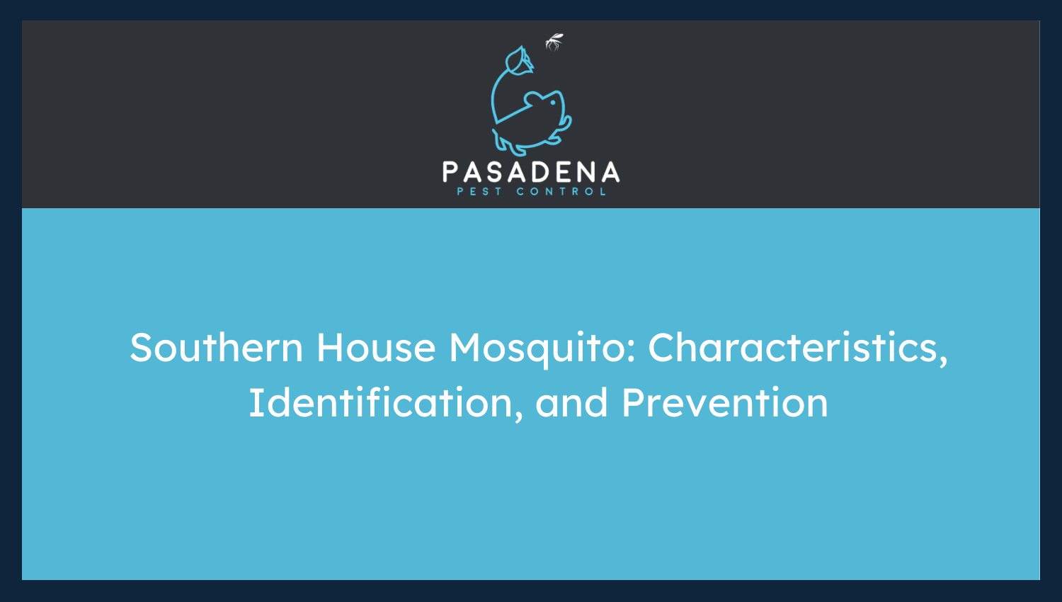 Southern House Mosquito: Characteristics, Identification, and Prevention