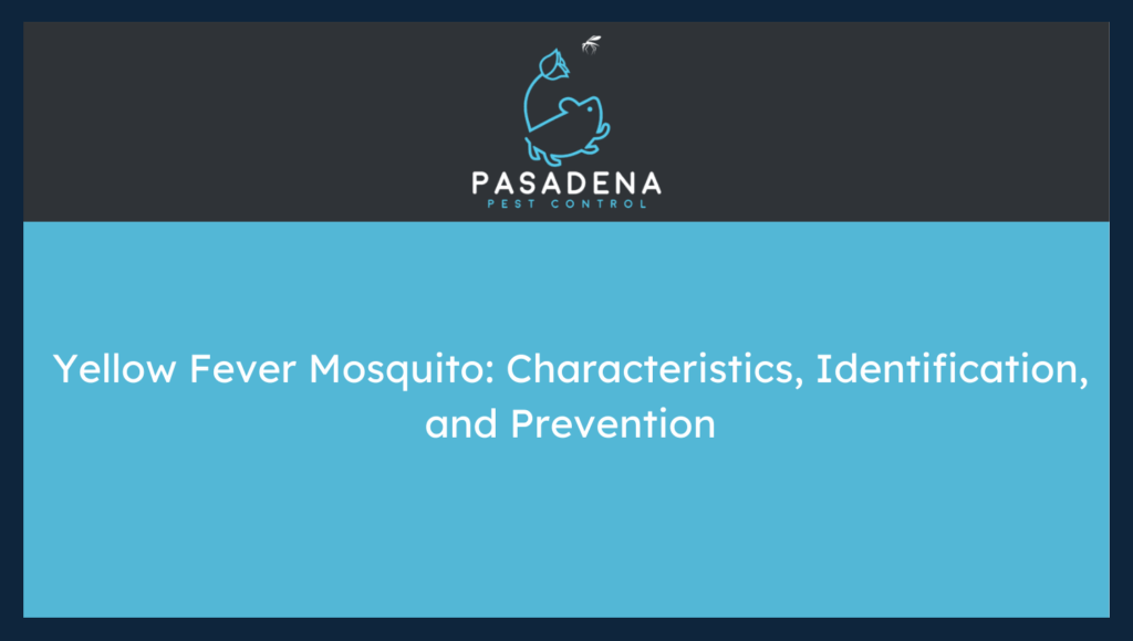 Yellow Fever Mosquito: Characteristics, Identification, and Prevention