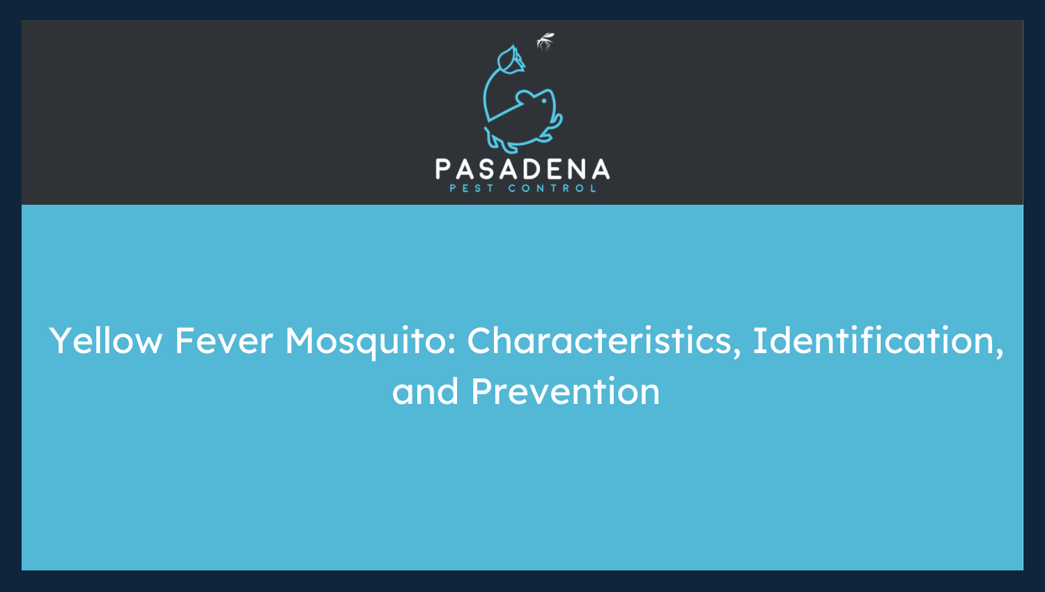 Yellow Fever Mosquito: Characteristics, Identification, and Prevention