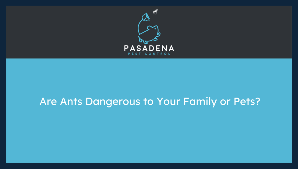 Are Ants Dangerous to Your Family or Pets?
