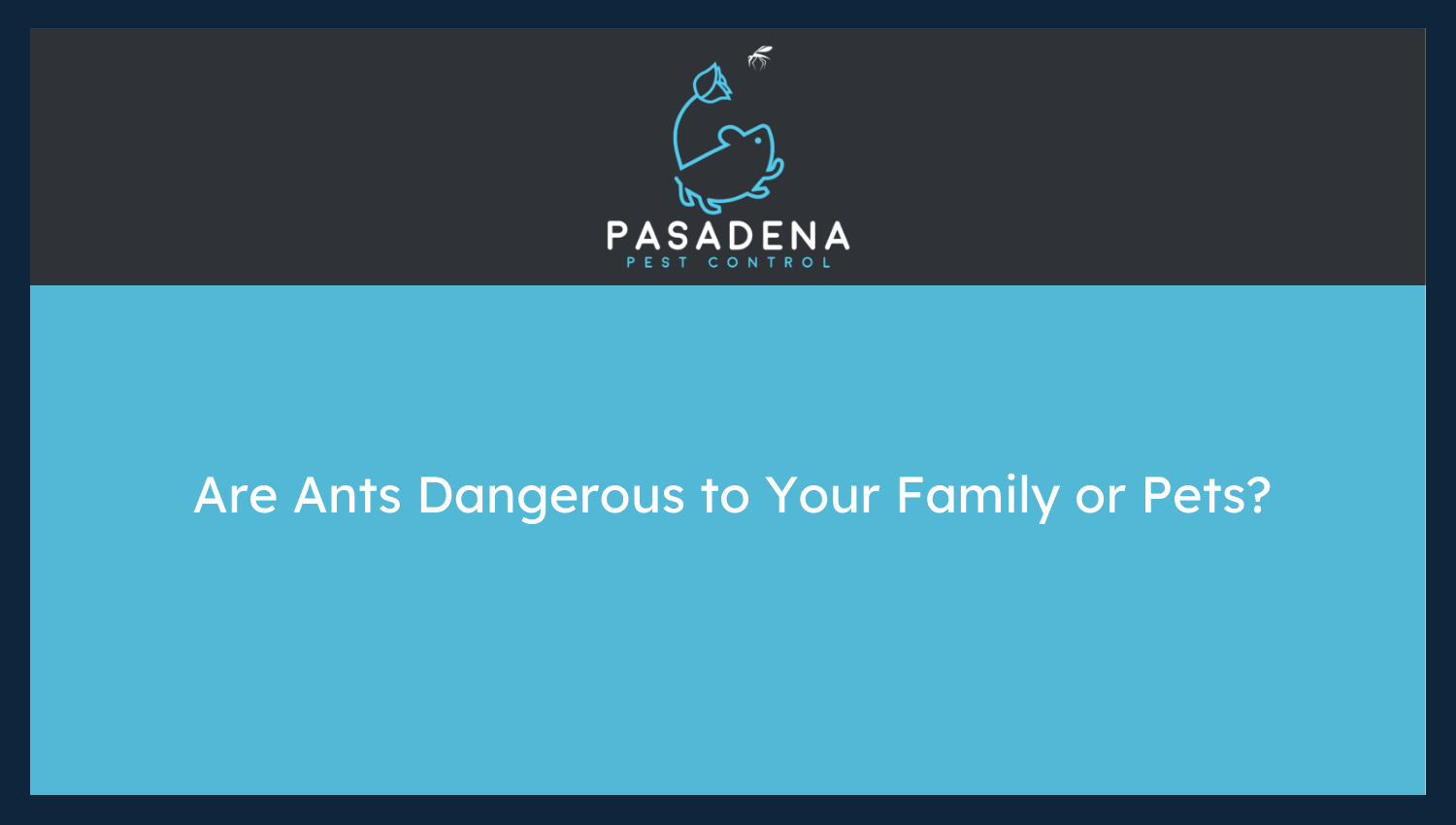 Are Ants Dangerous to Your Family or Pets?