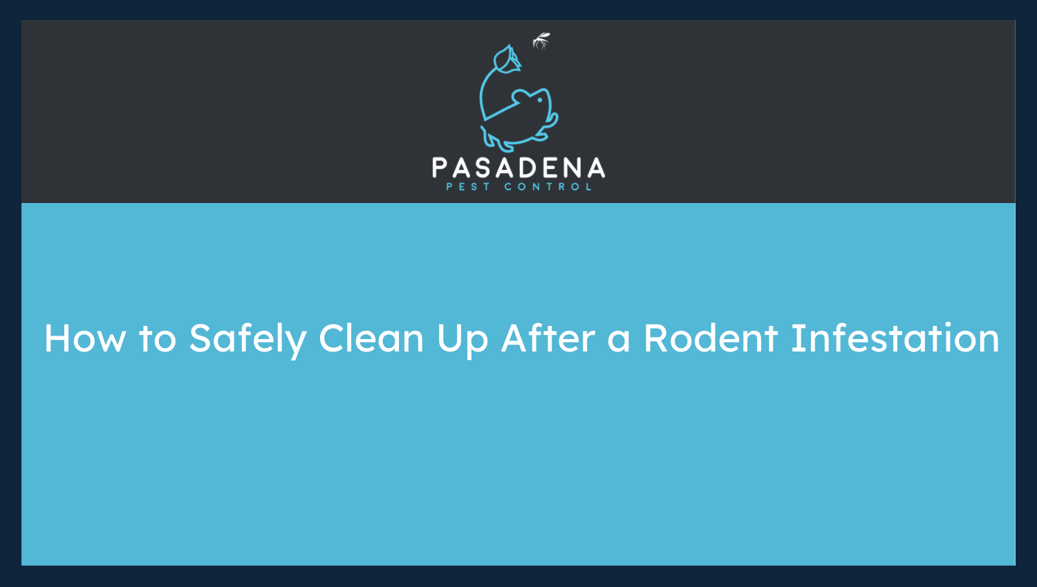 How to Safely Clean Up After a Rodent Infestation
