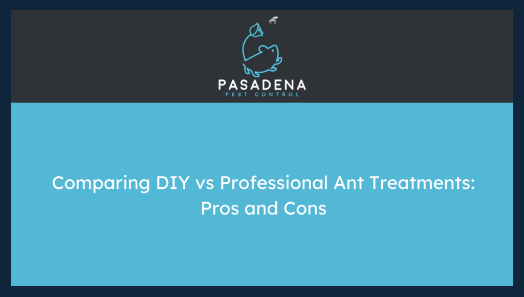 Comparing DIY vs Professional Ant Treatments: Pros and Cons