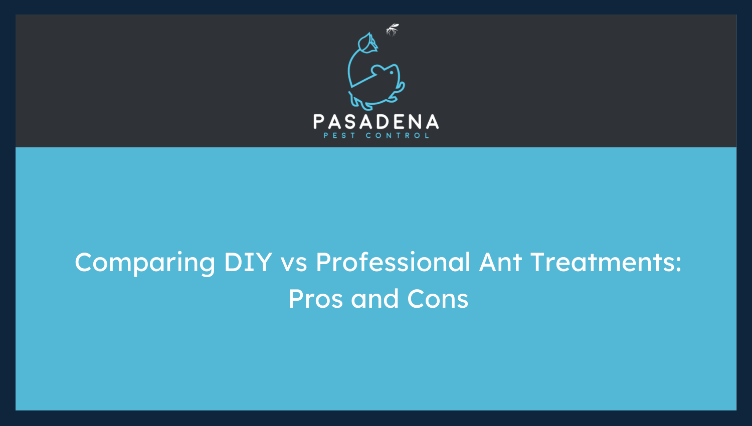 Comparing DIY vs Professional Ant Treatments: Pros and Cons