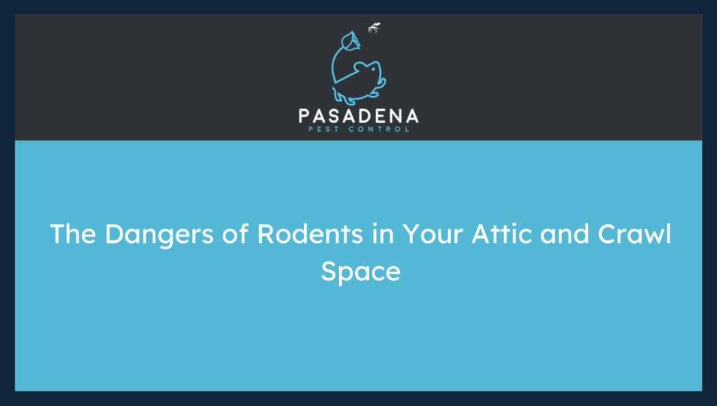 The Dangers of Rodents in Your Attic and Crawl Space