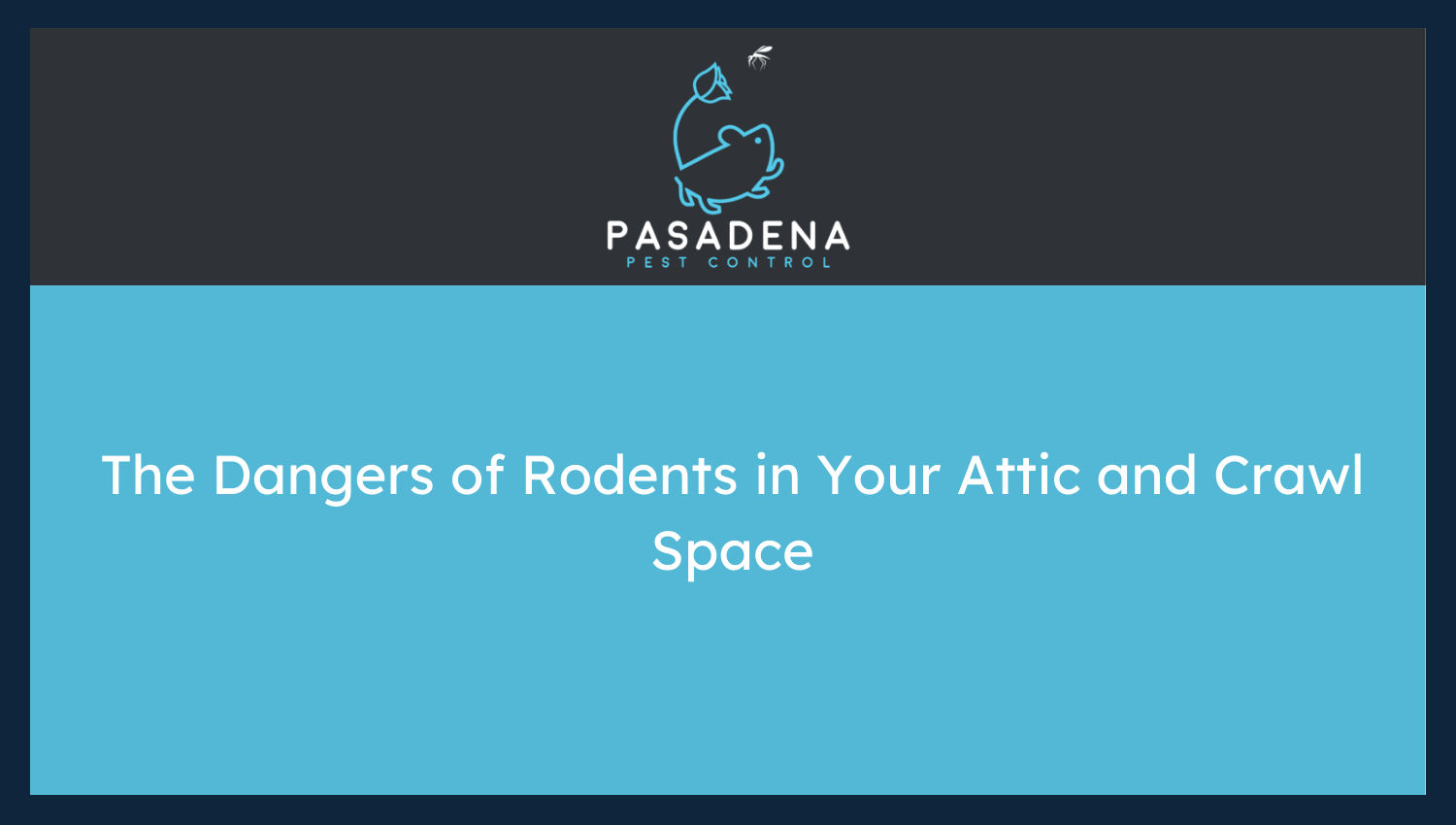 The Dangers of Rodents in Your Attic and Crawl Space