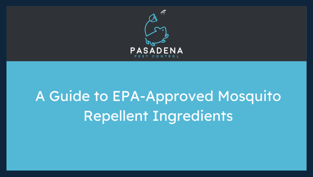 A Guide to EPA-Approved Mosquito Repellent Ingredients