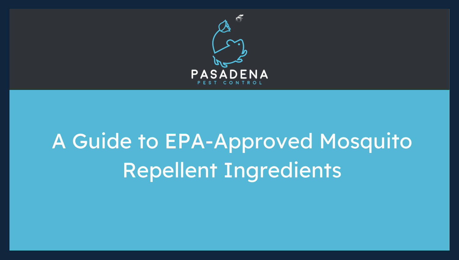 A Guide to EPA-Approved Mosquito Repellent Ingredients