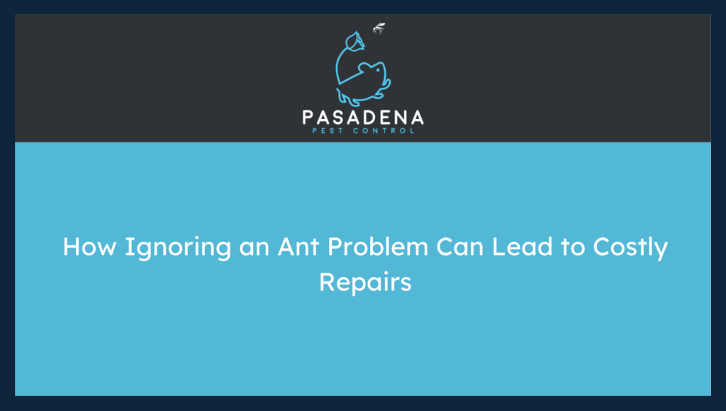 How Ignoring an Ant Problem Can Lead to Costly Repairs