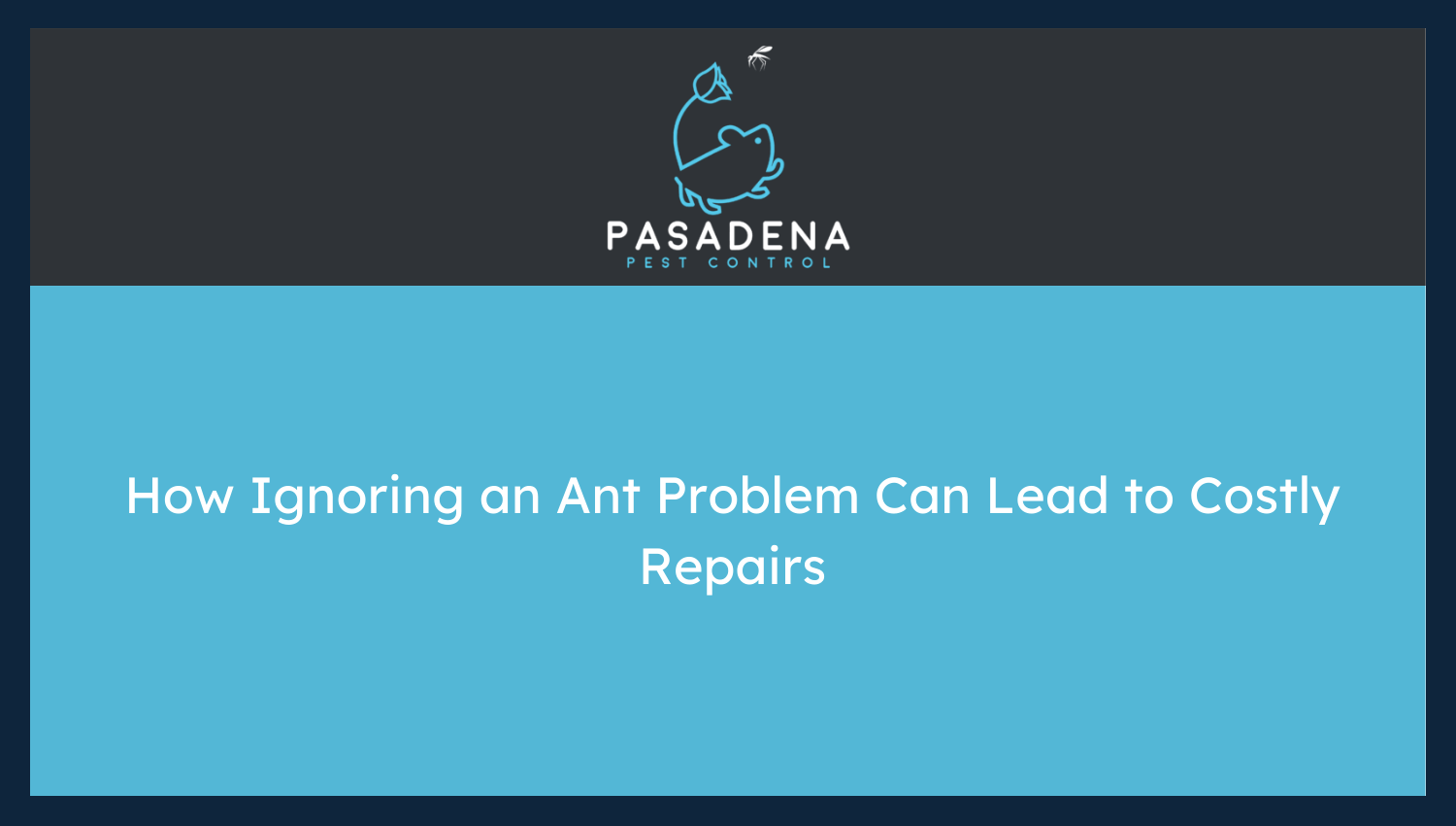 How Ignoring an Ant Problem Can Lead to Costly Repairs