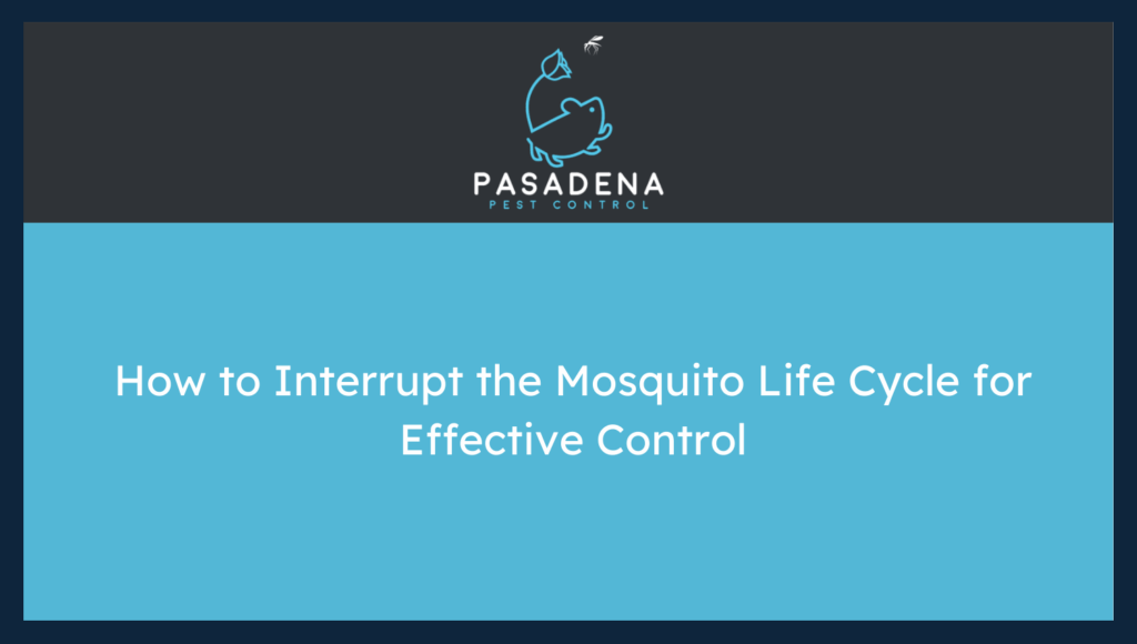 How to Interrupt the Mosquito Life Cycle for Effective Control