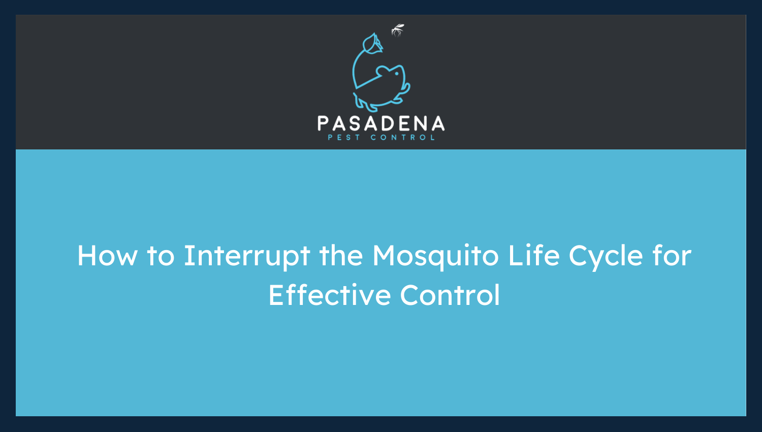 How to Interrupt the Mosquito Life Cycle for Effective Control