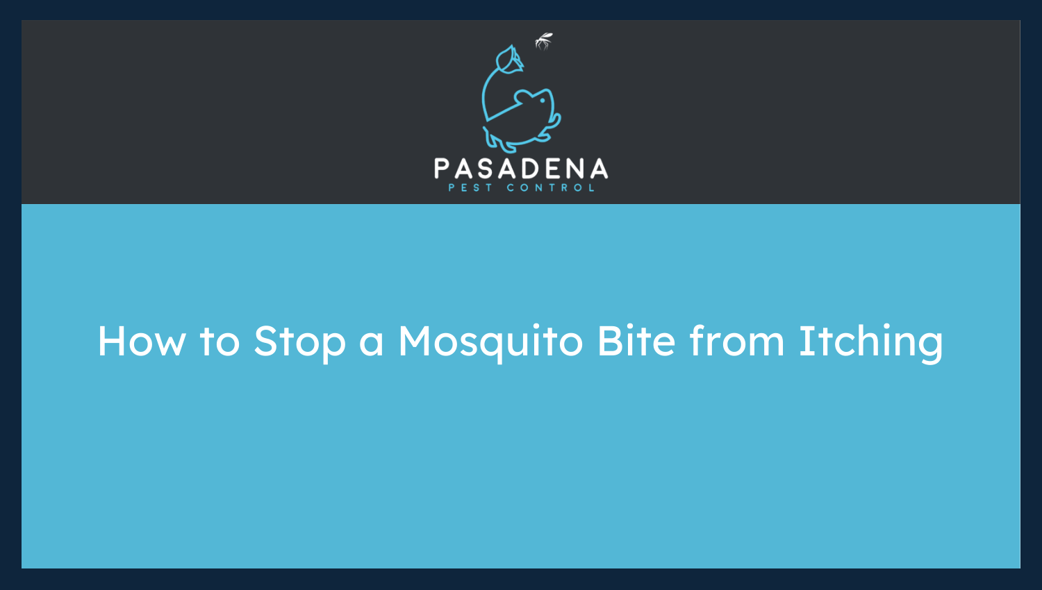 How to Stop a Mosquito Bite from Itching