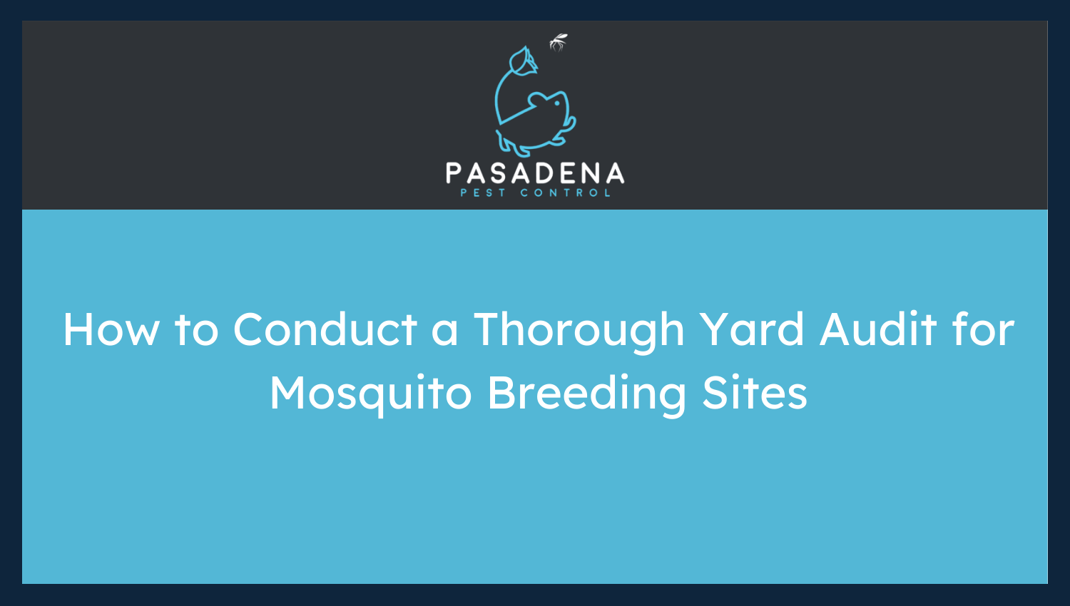 How to Conduct a Thorough Yard Audit for Mosquito Breeding Sites