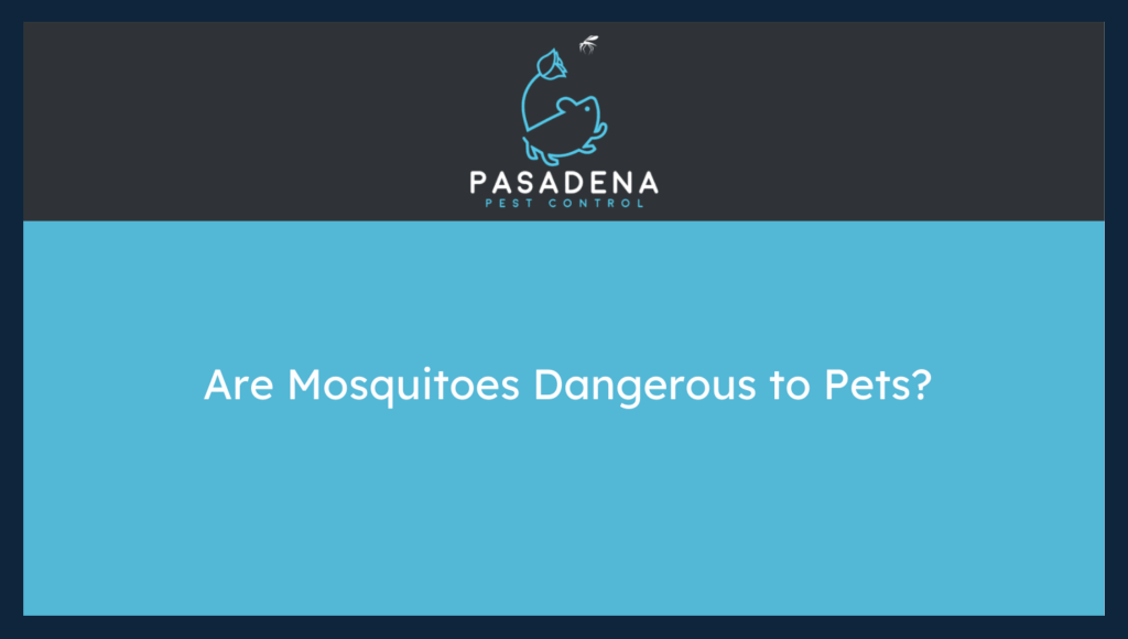 Are Mosquitoes Dangerous to Pets?