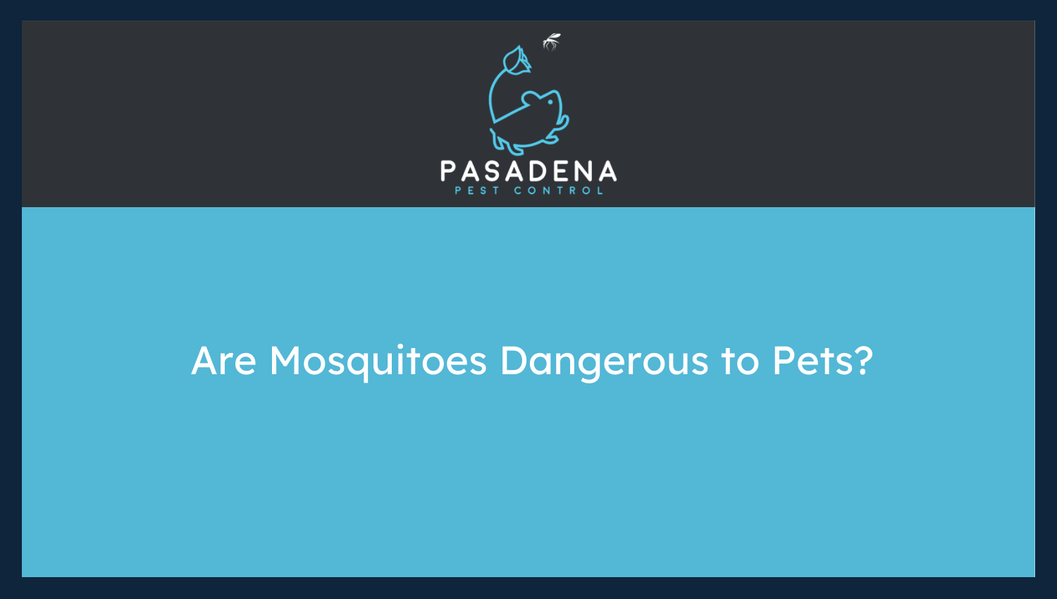 Are Mosquitoes Dangerous to Pets?