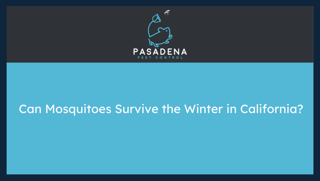 Can Mosquitoes Survive the Winter in California?