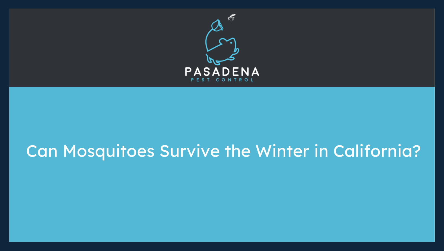 Can Mosquitoes Survive the Winter in California?