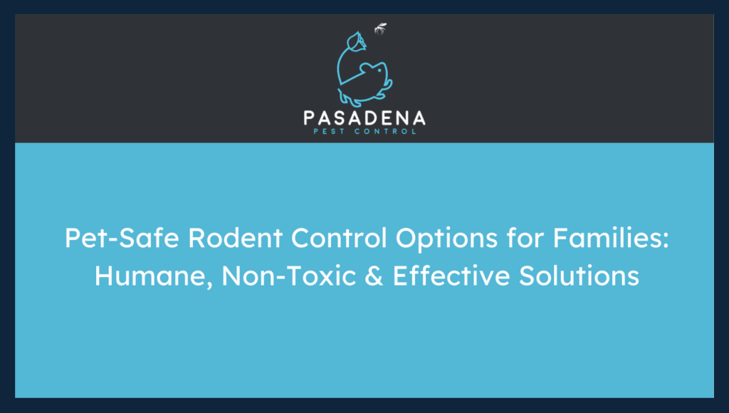 Pet-Safe Rodent Control Options for Families: Humane, Non-Toxic & Effective Solutions