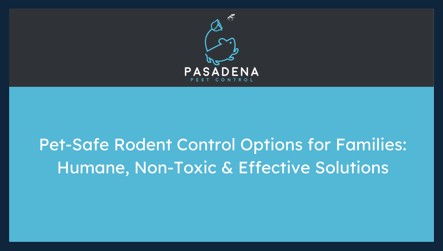 Pet-Safe Rodent Control Options for Families: Humane, Non-Toxic & Effective Solutions
